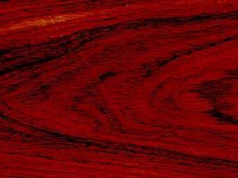 Brazilian kingwood