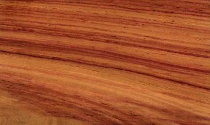 Tulipwood