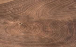 Black walnut