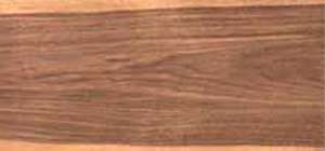 Black walnut
