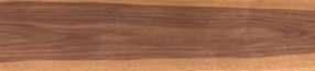 Black walnut