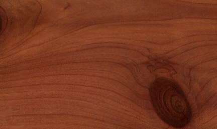 Eastern redcedar