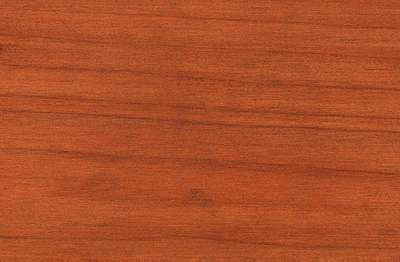 Eastern redcedar