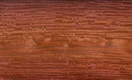 NarraAndaman padauk