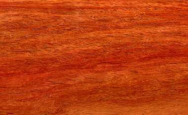 NarraAndaman padauk