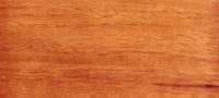 NarraAndaman padauk