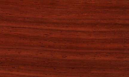 African padauk