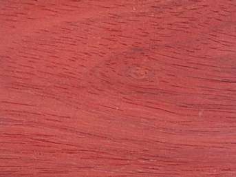 African padauk