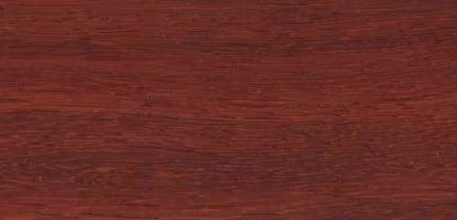African padauk