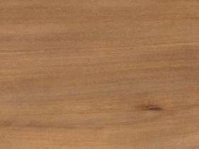 Soft elm