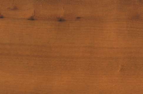 California laurel