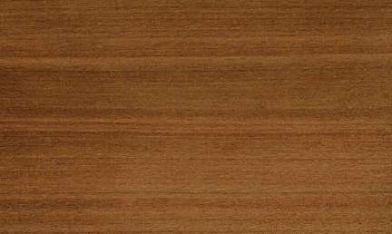 California laurel