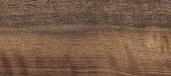 California laurel