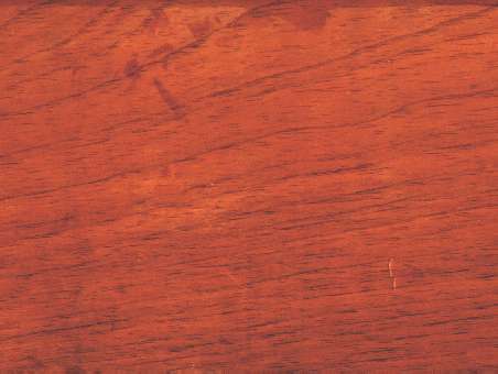 Central American cedar