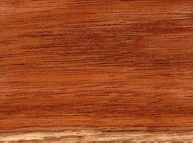 Central American cedar
