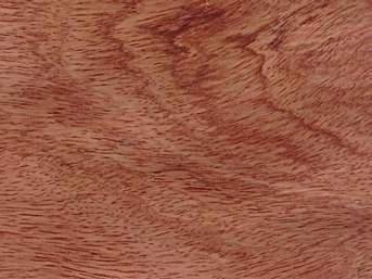 Bubinga